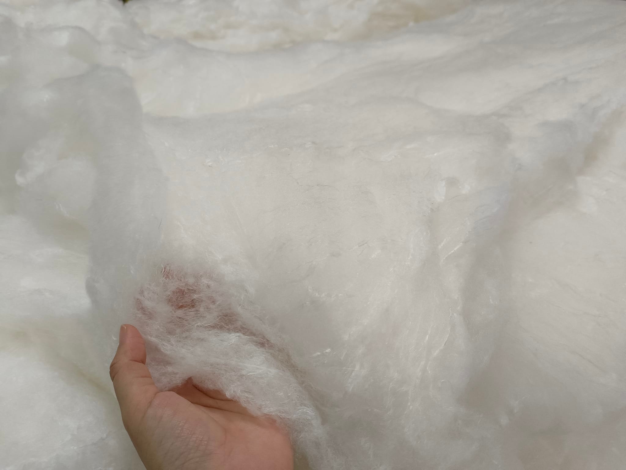 泉明生態教育蠶業農場-undefined