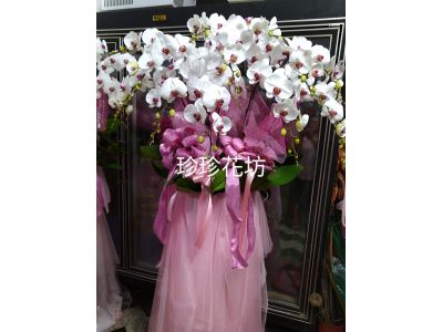 珍珍花坊-undefined