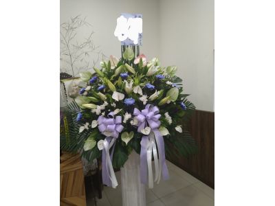 珍珍花坊-undefined