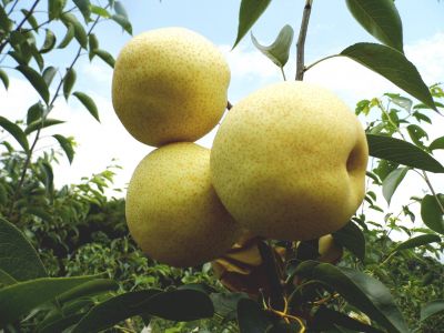 石門客棧-undefined