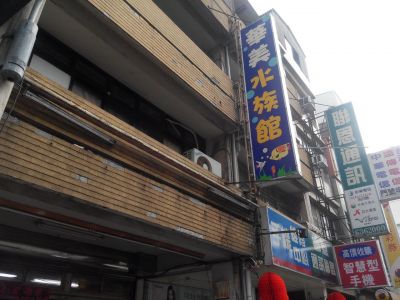 華美水族-undefined