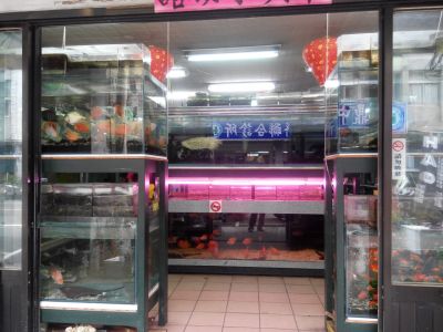 華美水族-undefined