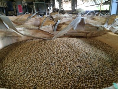 正豐農產加工所-undefined