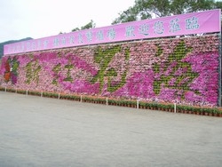 金櫃有限公司-undefined