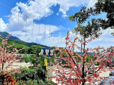 瞭望台土雞城-undefined