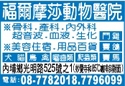 福爾摩莎賽鴿賽馬醫院（林坤輝）-undefined
