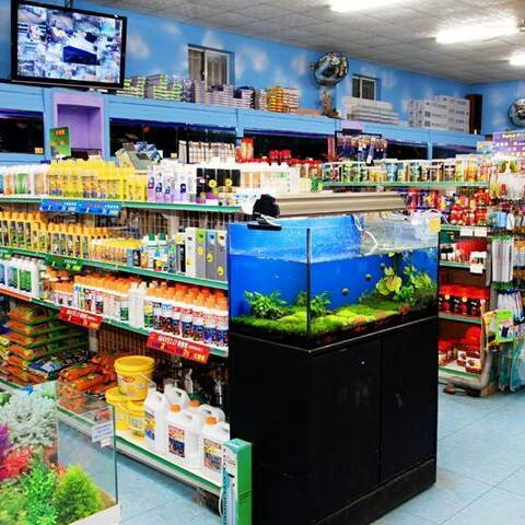 漁家水族量販 | 苗栗漁家水族館