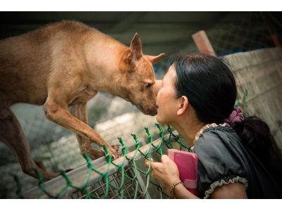 菩提寵物禮儀社-undefined