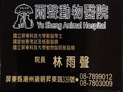 雨聲動物醫院-undefined