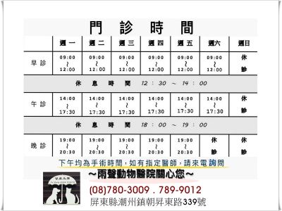 雨聲動物醫院-undefined