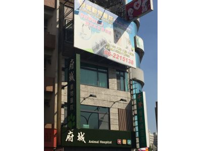 府城動物醫院-undefined