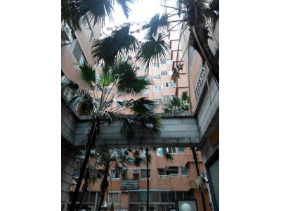 佛羅里達管理委員會-undefined