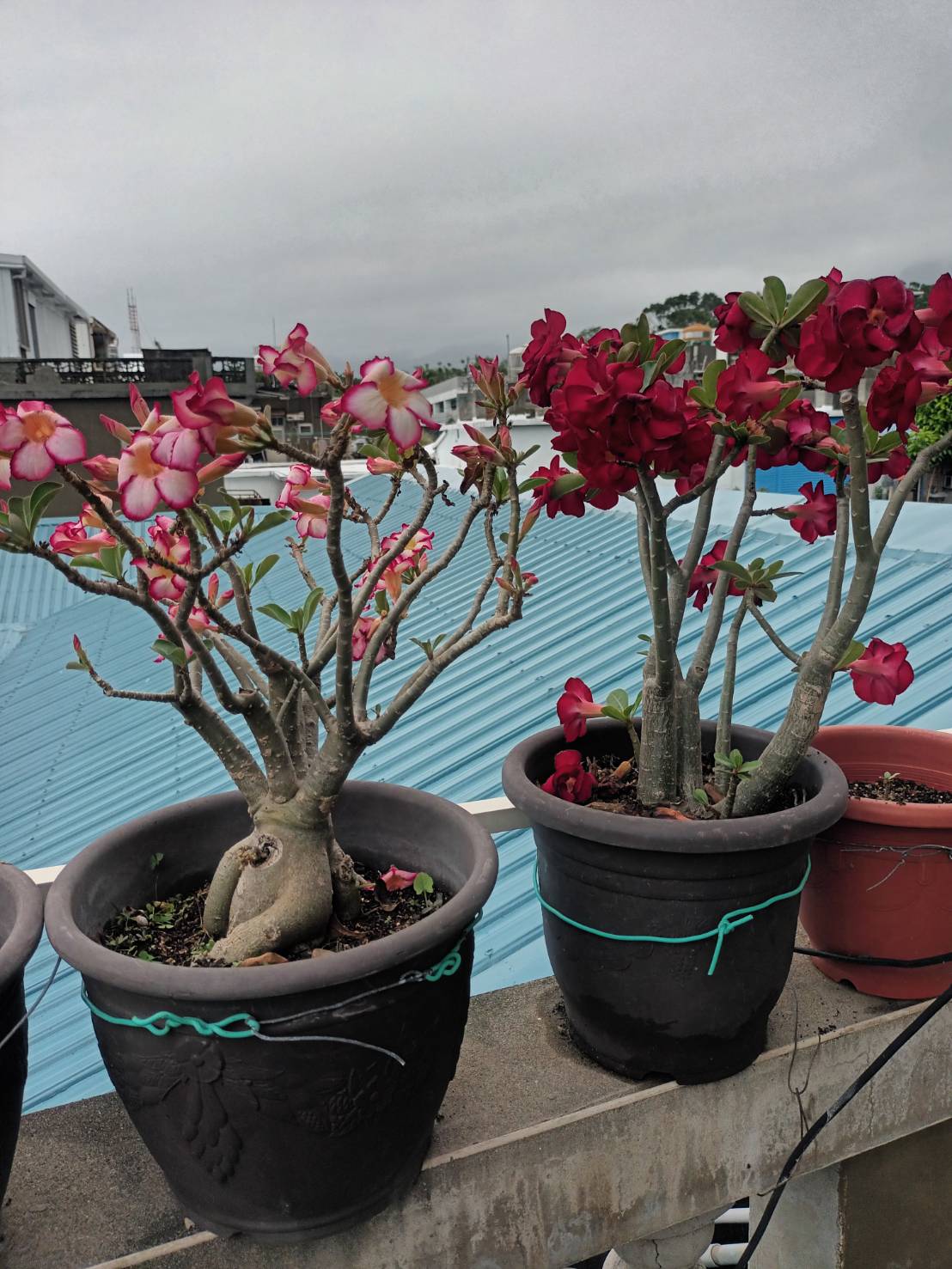 建華旅社-undefined