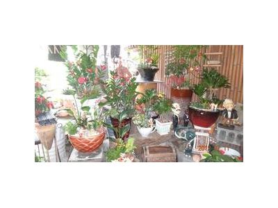 景興園藝有限公司-undefined