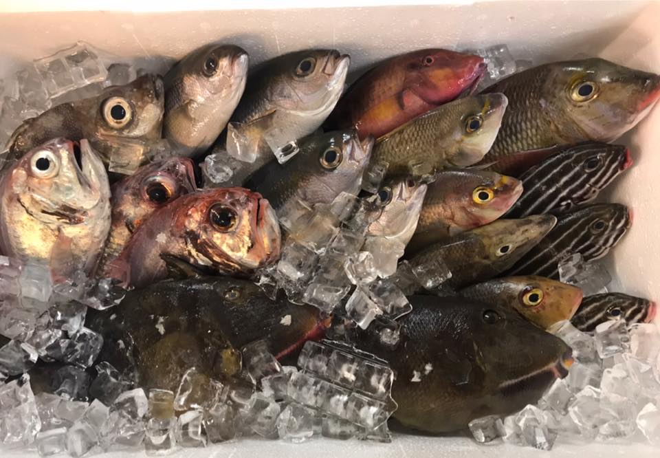 吉翔小吃部-undefined