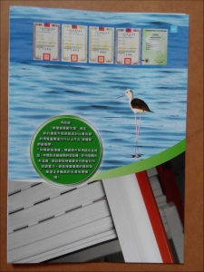 白陽通有限公司-undefined