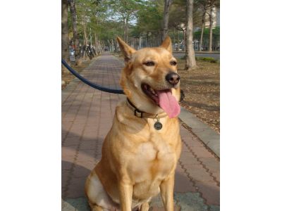 益祥玩具行-undefined