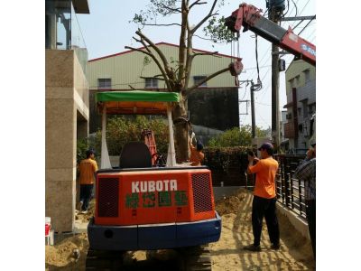 綠岱園藝造景-undefined