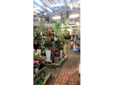 綠岱園藝造景-undefined