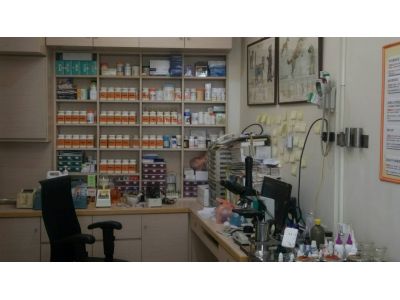 諾亞動物醫院-undefined