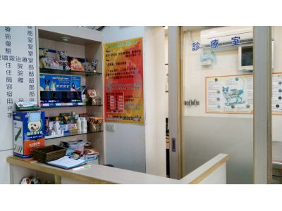 諾亞動物醫院-undefined