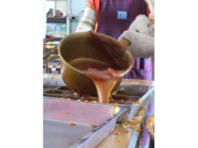 台南市佳里區-undefined