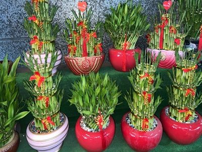 情合花坊｜台中花店 情人節花束 花籃 罐頭塔 會場佈置 蘭花 樹葬 諮詢規劃-undefined