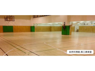 東龍地板有限公司-undefined