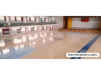 東龍地板有限公司-undefined