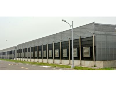 桂冠花卉有限公司-undefined