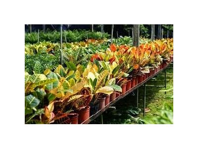 永欣園藝-undefined