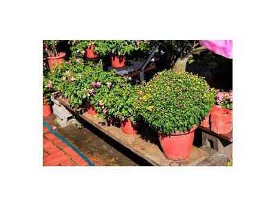 漢庭園藝材料事業有限公司-undefined