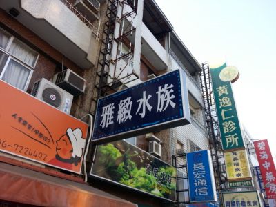 雅緻水族園藝工作坊-undefined