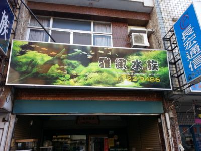 雅緻水族園藝工作坊-undefined