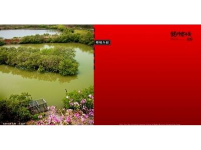 龍門餐廳（王文正）-undefined