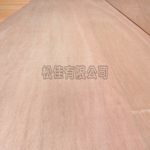 松佳有限公司-undefined