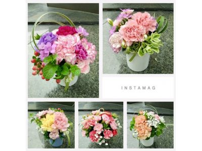 森蘭花坊有限公司-undefined