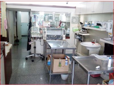 健中動物醫院-undefined