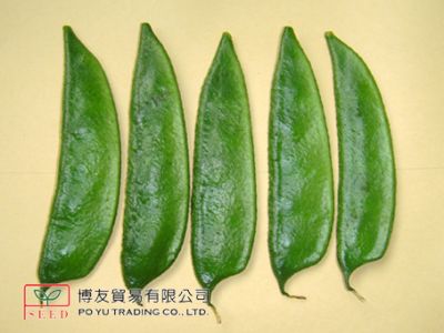 博友貿易有限公司-undefined