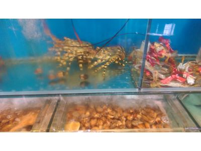 坤記食堂-undefined