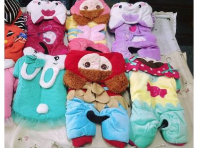 樺樺動物醫院-undefined