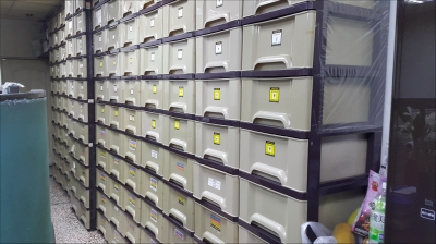 大企有限公司-undefined