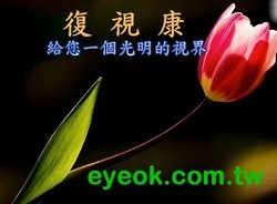 復視康光學股份有限公司-undefined