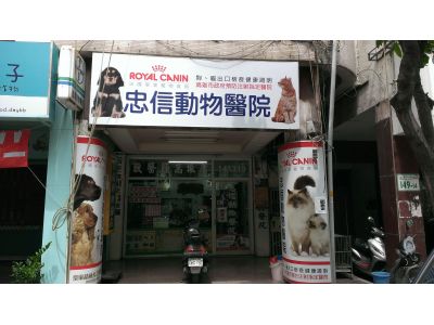 忠信動物醫院-undefined