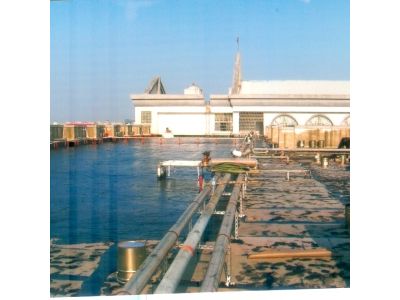 承盈企業有限公司-undefined