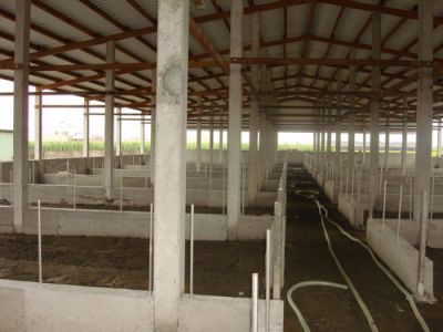 溫發水泥製品加工廠-undefined