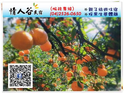 情人谷休憩園區（陳裕松）-undefined