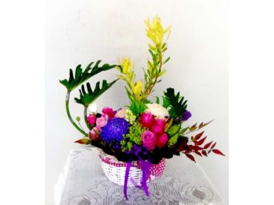 林依林林八林花苑-undefined