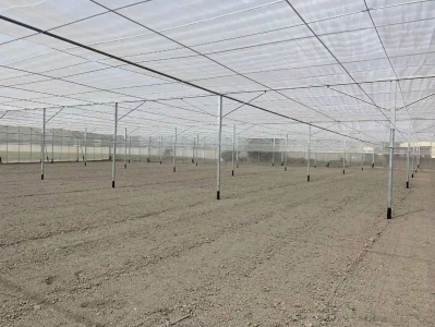 慶聚企業股份有限公司-undefined