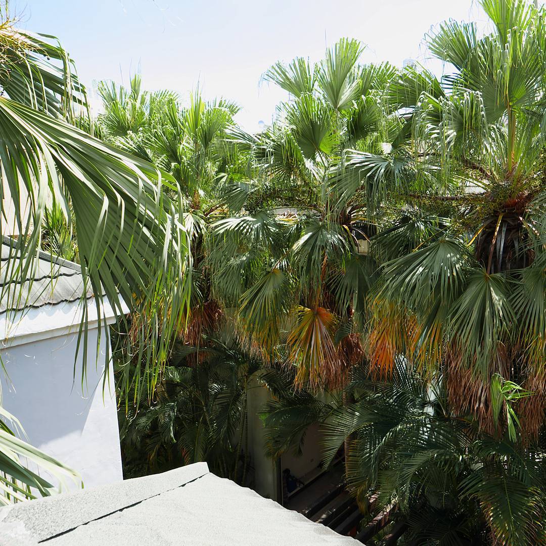 楓采休閒商務汽車旅館有限公司-undefined